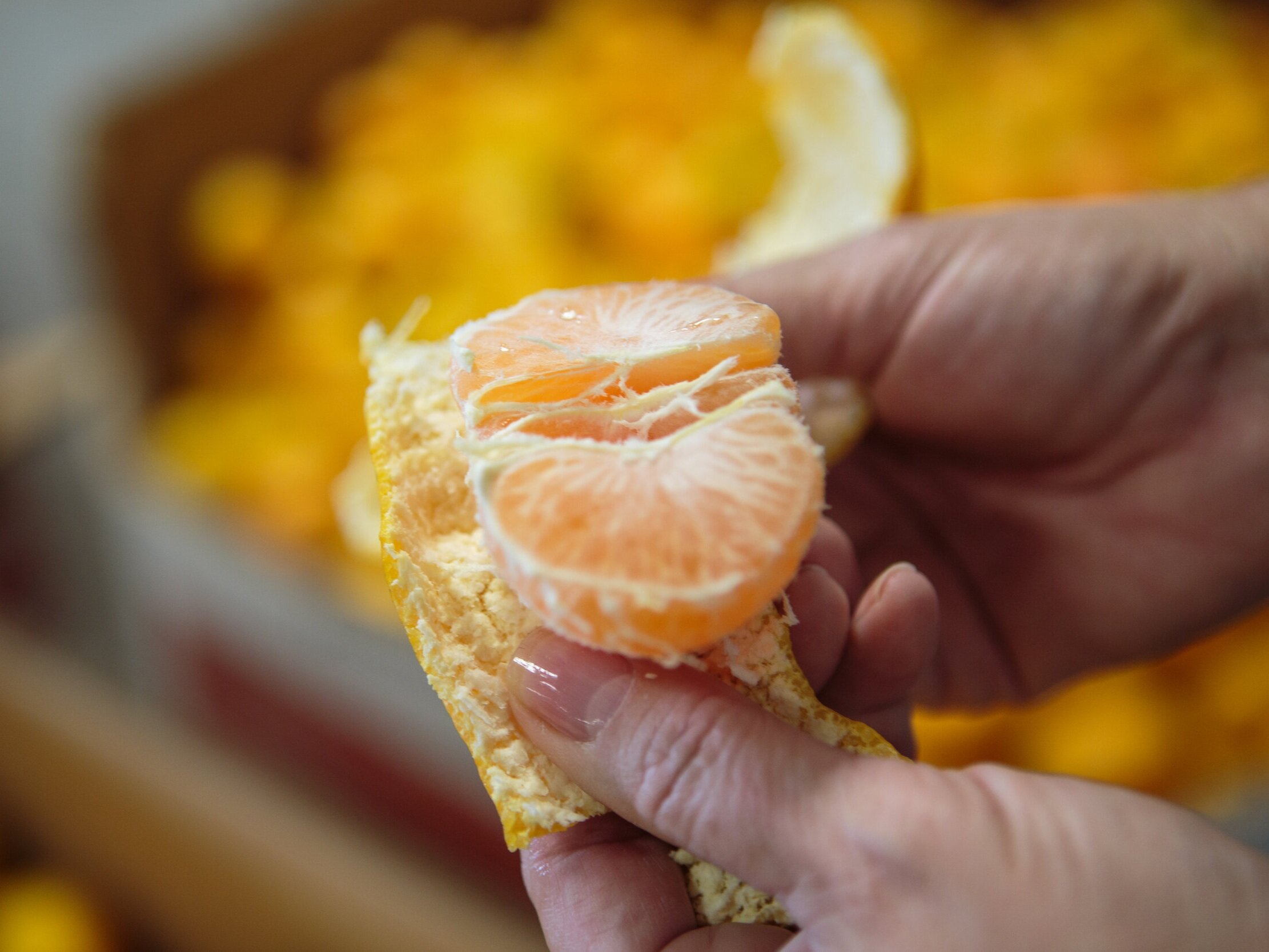 Person holding a peeled orange segment, showcasing its juicy interior, with a blurred background of more oranges in a box.