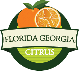 Logo of Florida Georgia Citrus featuring an orange and a Florida map outline, with the text "Florida Georgia Citrus" prominently displayed.